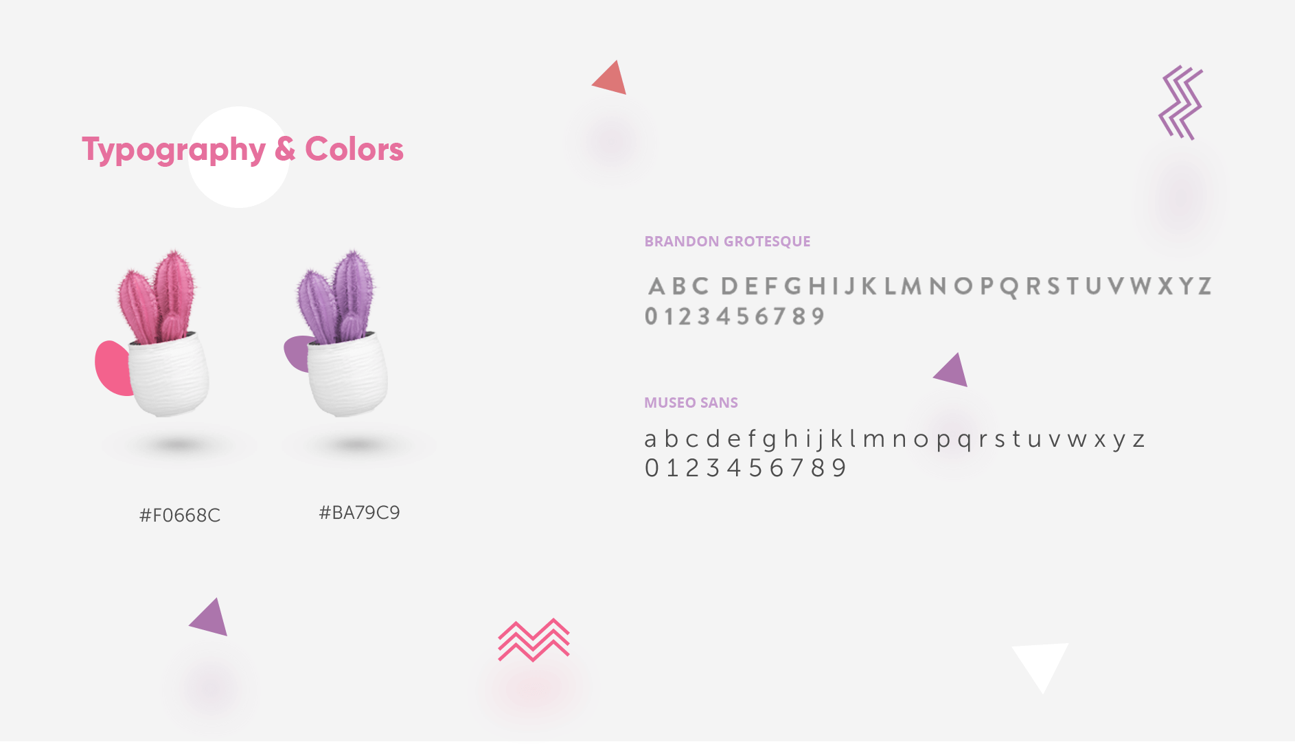 Custom ecommerce website