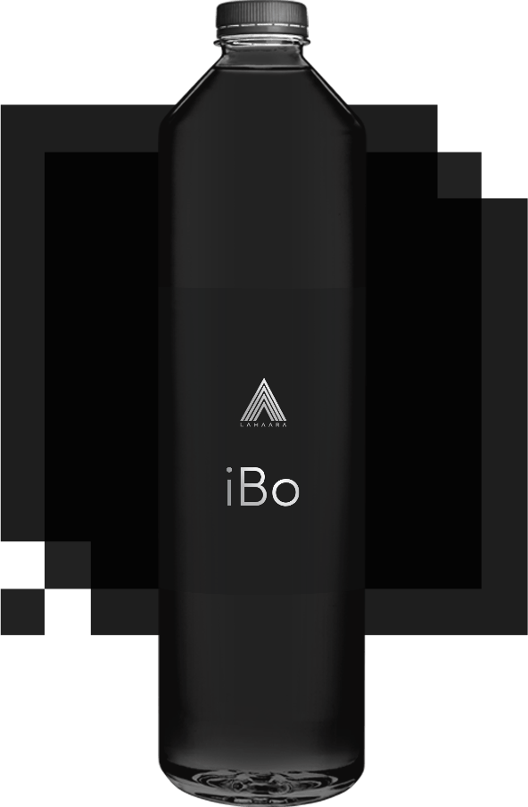 Corporate website