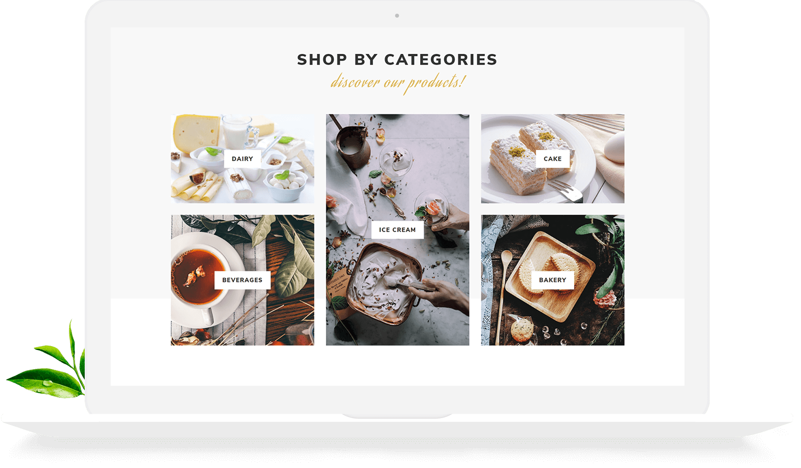 Ecommerce wordPress website
