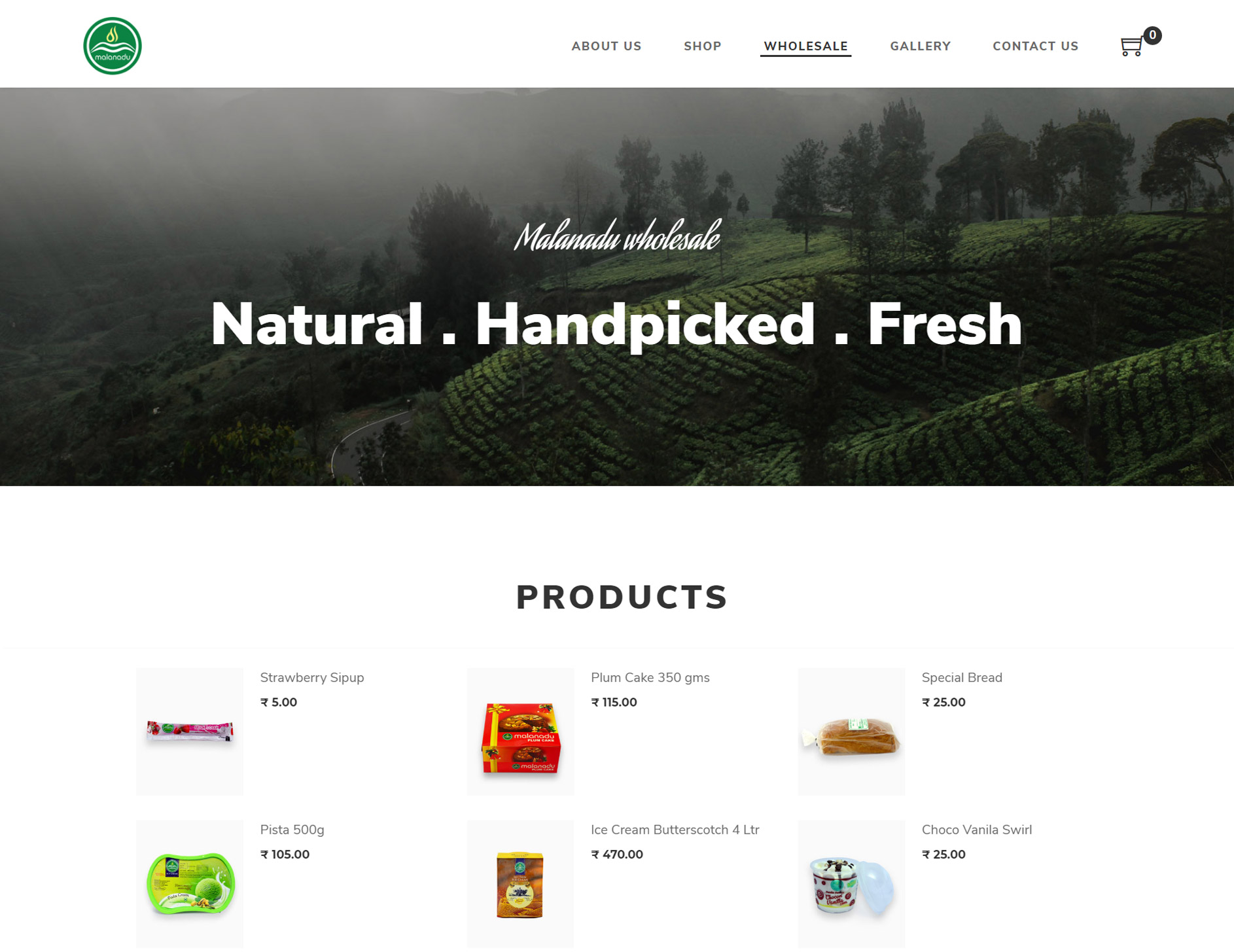Ecommerce wordPress website