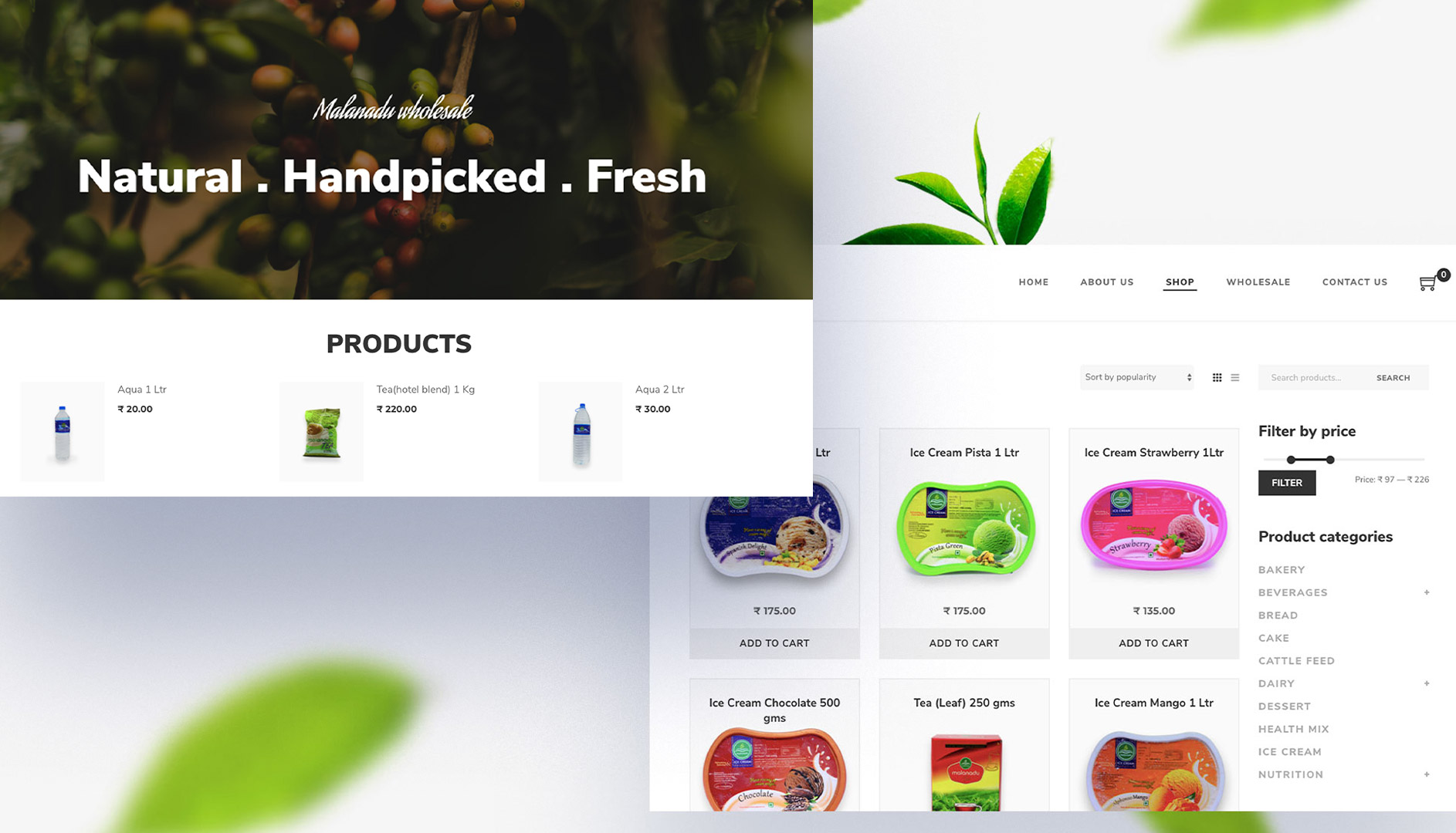 Ecommerce wordPress website