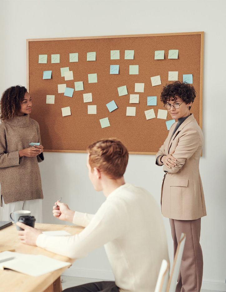 Project strategy